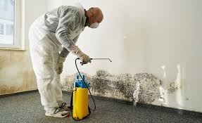 Best Mold Prevention Services  in Ellsworth, KS